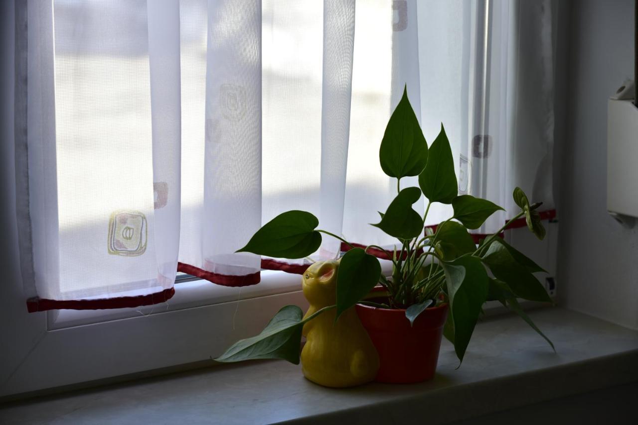 Primula Apartment